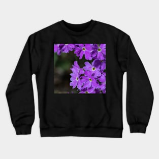 Flowers in bloom Crewneck Sweatshirt